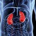 Nephrology Nephrology