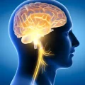 Neurology Neurology